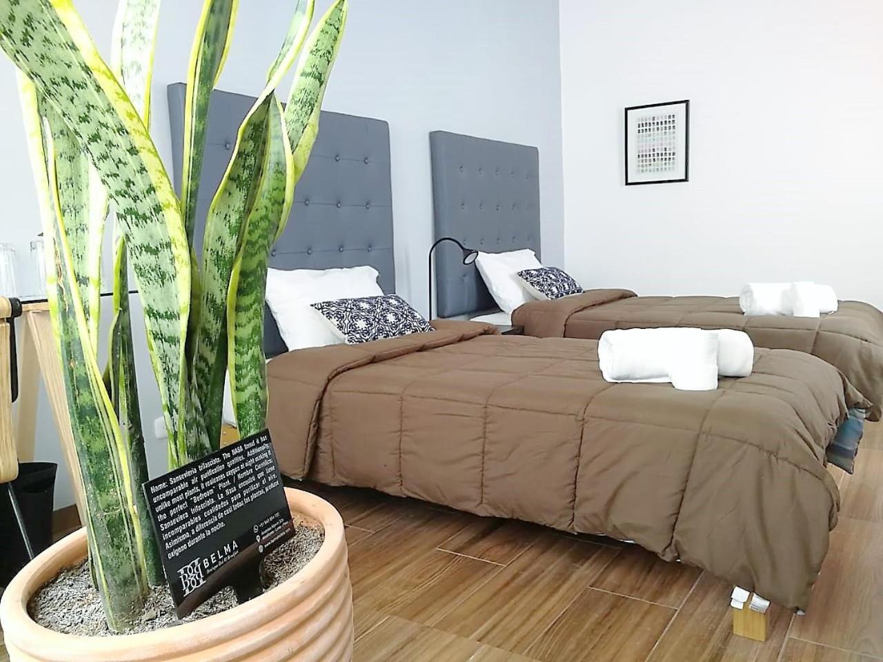 Belma Boutique Bed And Breakfast Лима Экстерьер фото